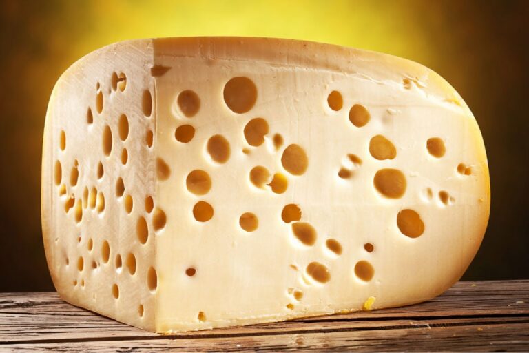 Fermenti probiotici