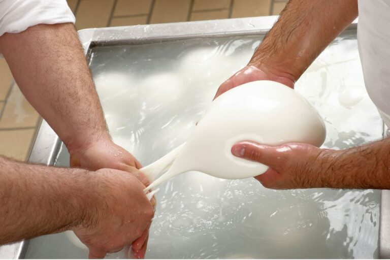 Paste filate fresche e stagionate